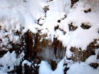 ruisseau-gele.jpg (48182 octets)